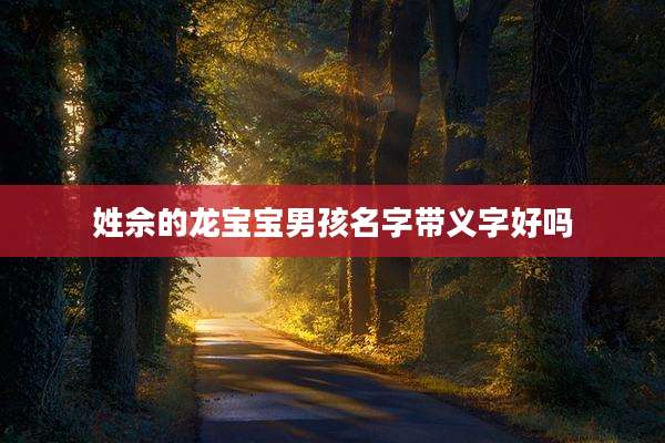 姓佘的龙宝宝男孩名字带义字好吗
