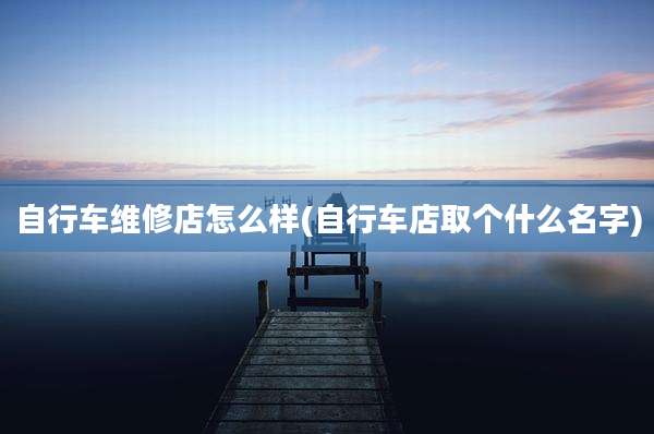 自行车维修店怎么样(自行车店取个什么名字)