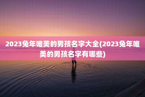 2023兔年唯美的男孩名字大全(2023兔年唯美的男孩名字有哪些)