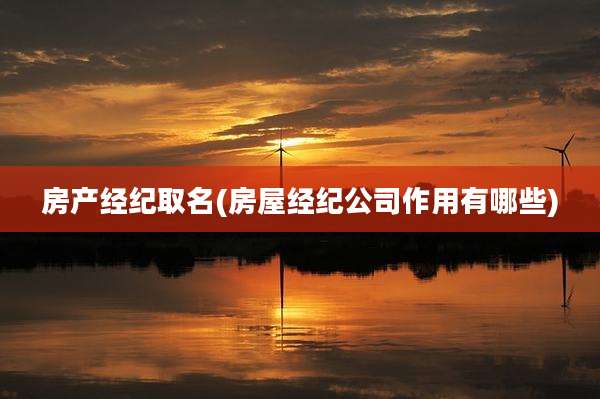 房产经纪取名(房屋经纪公司作用有哪些)