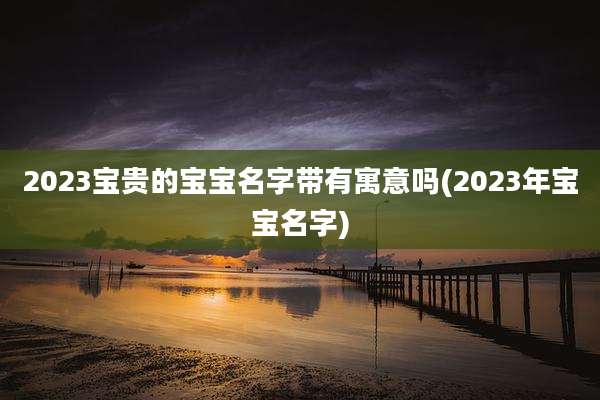 2023宝贵的宝宝名字带有寓意吗(2023年宝宝名字)