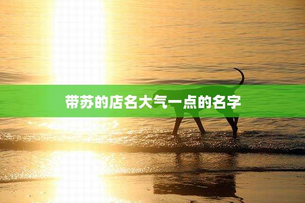 带苏的店名大气一点的名字