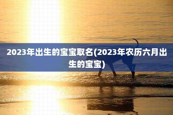 2023年出生的宝宝取名(2023年农历六月出生的宝宝)