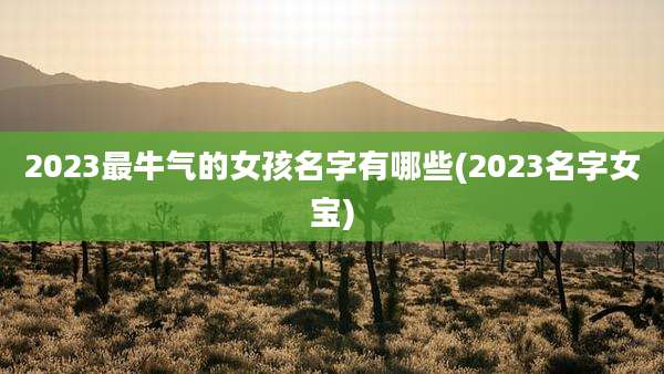 2023最牛气的女孩名字有哪些(2023名字女宝)