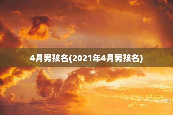 4月男孩名(2021年4月男孩名)