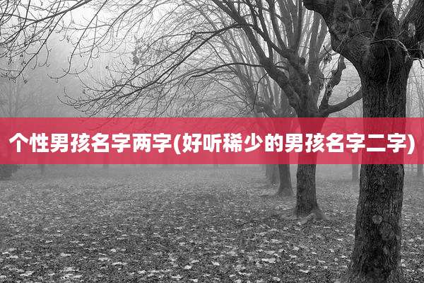 个性男孩名字两字(好听稀少的男孩名字二字)