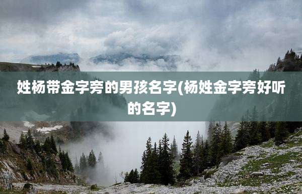 姓杨带金字旁的男孩名字(杨姓金字旁好听的名字)