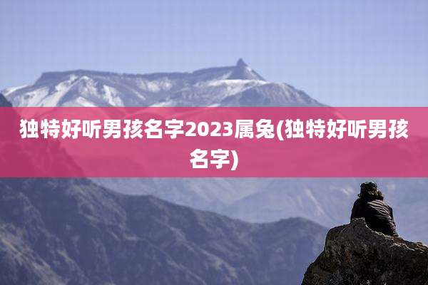 独特好听男孩名字2023属兔(独特好听男孩名字)