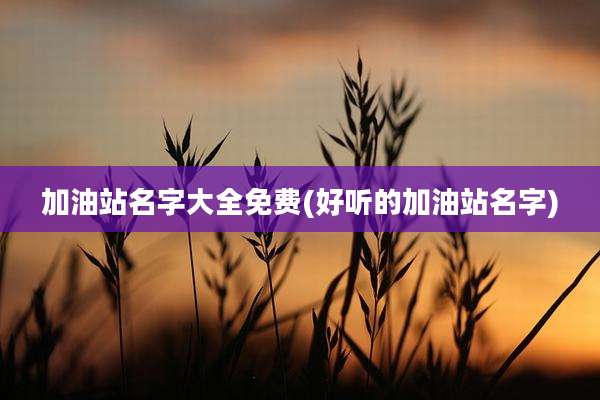 加油站名字大全免费(好听的加油站名字)