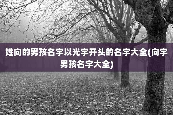 姓向的男孩名字以光字开头的名字大全(向字男孩名字大全)