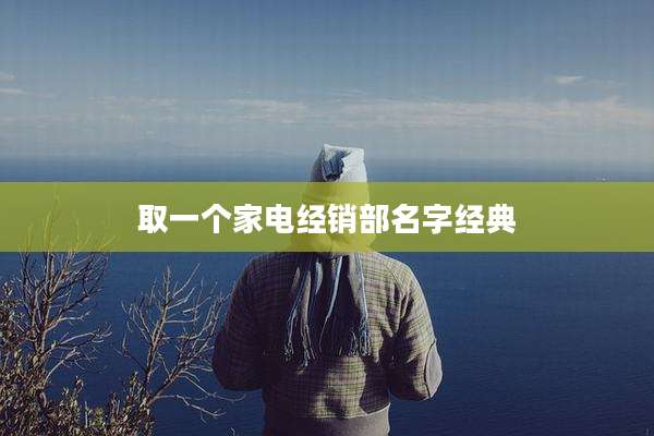 取一个家电经销部名字经典