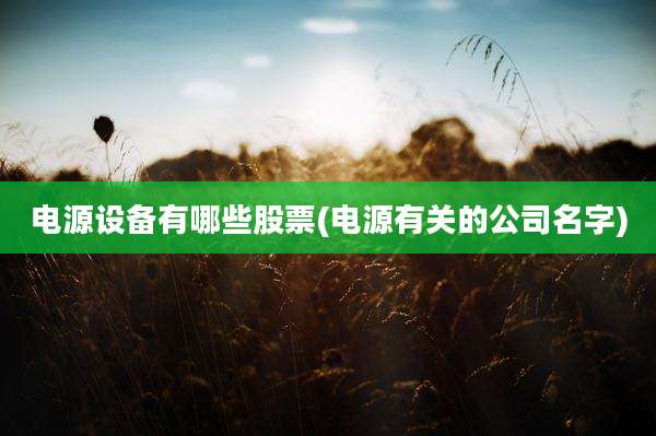 电源设备有哪些股票(电源有关的公司名字)
