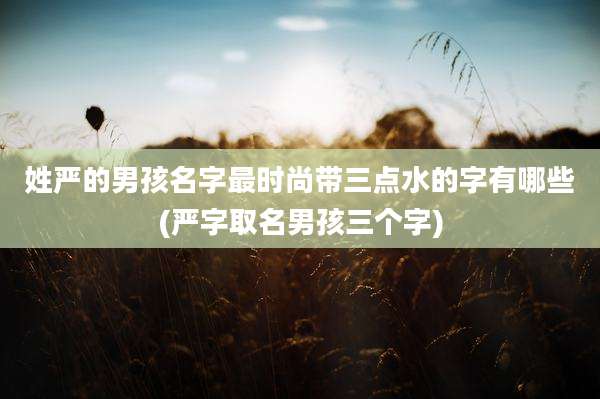 姓严的男孩名字最时尚带三点水的字有哪些(严字取名男孩三个字)