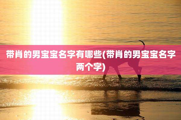 带肖的男宝宝名字有哪些(带肖的男宝宝名字两个字)