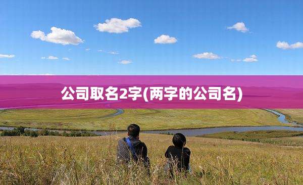 公司取名2字(两字的公司名)