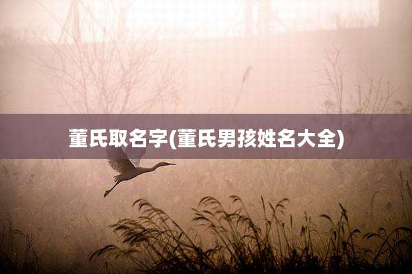 董氏取名字(董氏男孩姓名大全)