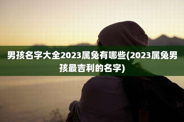 男孩名字大全2023属兔有哪些(2023属兔男孩最吉利的名字)