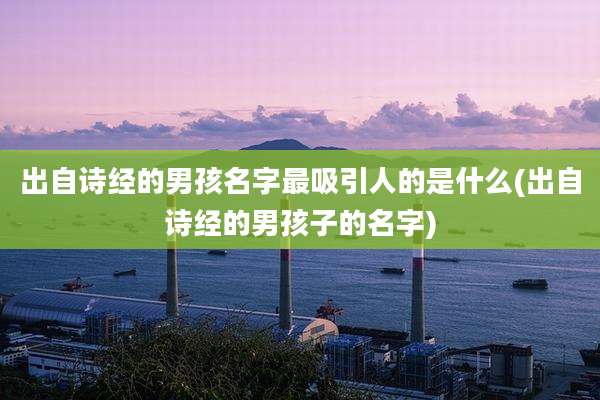出自诗经的男孩名字最吸引人的是什么(出自诗经的男孩子的名字)