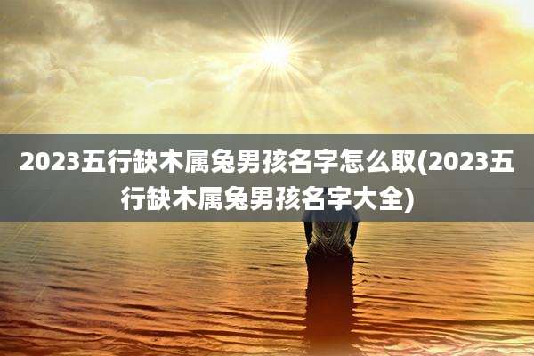 2023五行缺木属兔男孩名字怎么取(2023五行缺木属兔男孩名字大全)