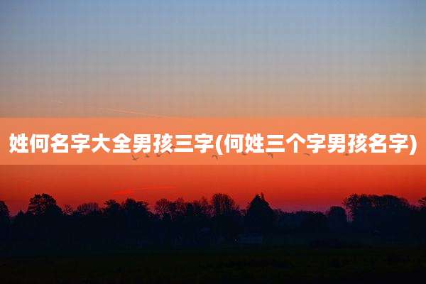 姓何名字大全男孩三字(何姓三个字男孩名字)