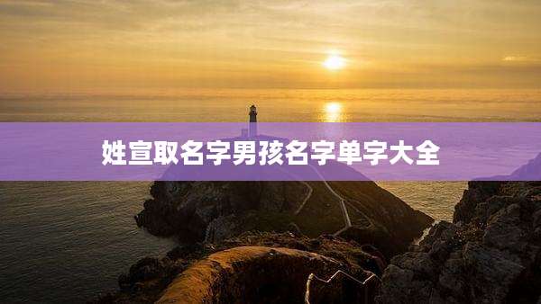 姓宣取名字男孩名字单字大全