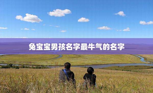 兔宝宝男孩名字最牛气的名字