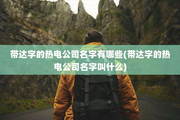 带达字的热电公司名字有哪些(带达字的热电公司名字叫什么)