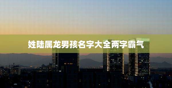 姓陆属龙男孩名字大全两字霸气