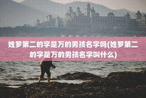 姓罗第二的字是万的男孩名字吗(姓罗第二的字是万的男孩名字叫什么)