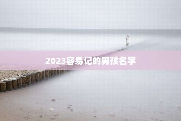 2023容易记的男孩名字
