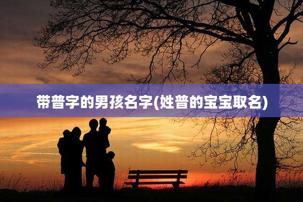 带普字的男孩名字(姓普的宝宝取名)