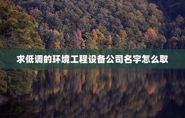 求低调的环境工程设备公司名字怎么取