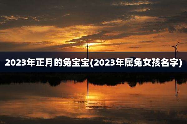 2023年正月的兔宝宝(2023年属兔女孩名字)