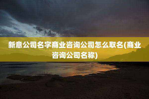 新意公司名字商业咨询公司怎么取名(商业咨询公司名称)