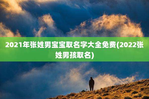 2021年张姓男宝宝取名字大全免费(2022张姓男孩取名)