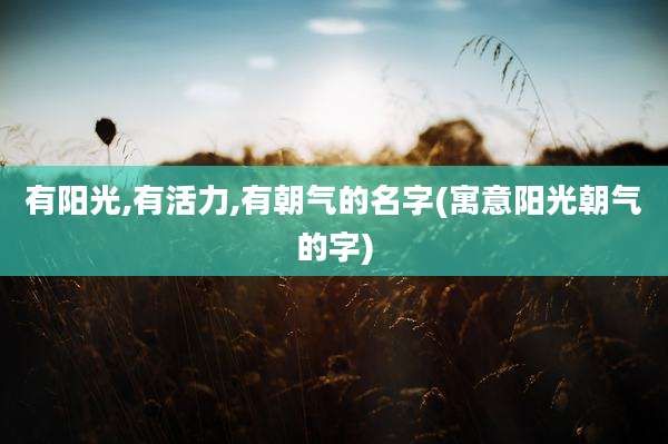 有阳光,有活力,有朝气的名字(寓意阳光朝气的字)