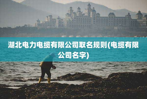 湖北电力电缆有限公司取名规则(电缆有限公司名字)