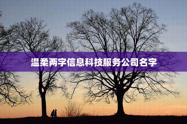 温柔两字信息科技服务公司名字