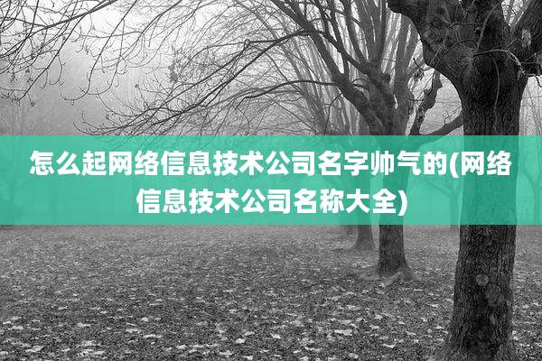 怎么起网络信息技术公司名字帅气的(网络信息技术公司名称大全)