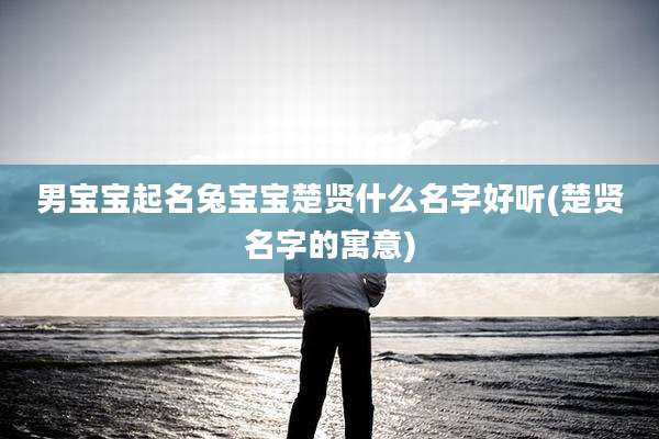 男宝宝起名兔宝宝楚贤什么名字好听(楚贤名字的寓意)