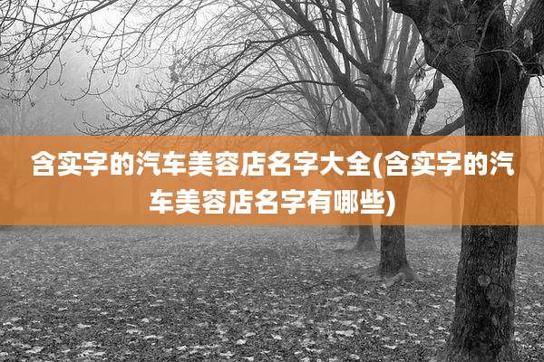 含实字的汽车美容店名字大全(含实字的汽车美容店名字有哪些)