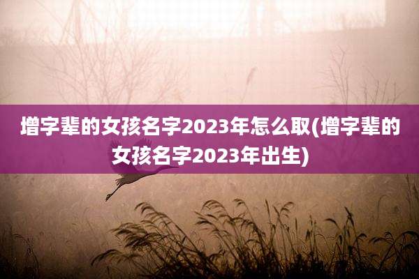 增字辈的女孩名字2023年怎么取(增字辈的女孩名字2023年出生)