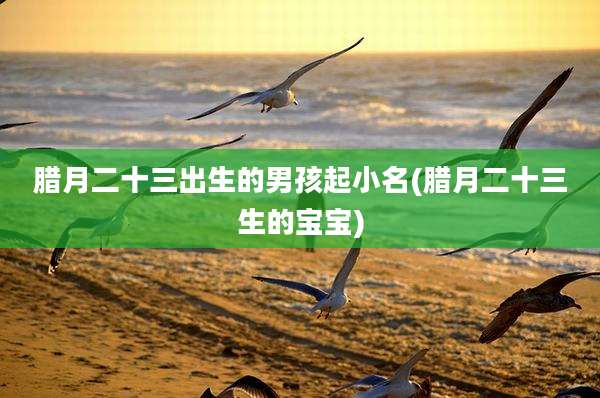 腊月二十三出生的男孩起小名(腊月二十三生的宝宝)
