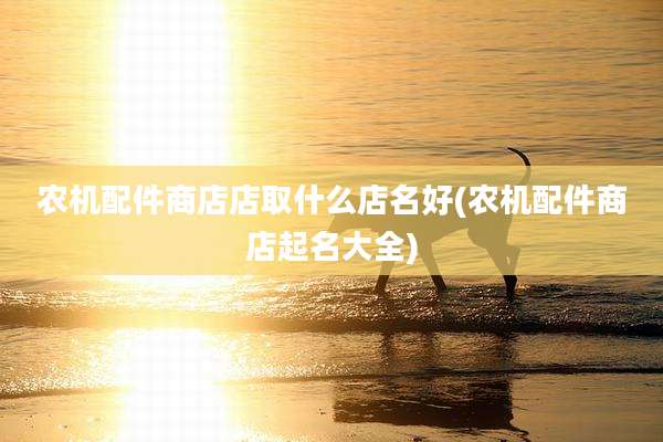 农机配件商店店取什么店名好(农机配件商店起名大全)