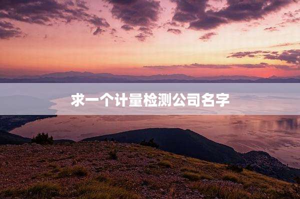 求一个计量检测公司名字