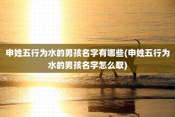 申姓五行为水的男孩名字有哪些(申姓五行为水的男孩名字怎么取)