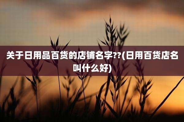 关于日用品百货的店铺名字??(日用百货店名叫什么好)