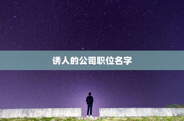 诱人的公司职位名字