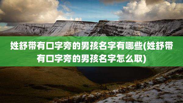 姓舒带有口字旁的男孩名字有哪些(姓舒带有口字旁的男孩名字怎么取)