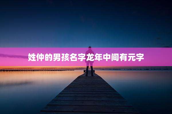 姓仲的男孩名字龙年中间有元字